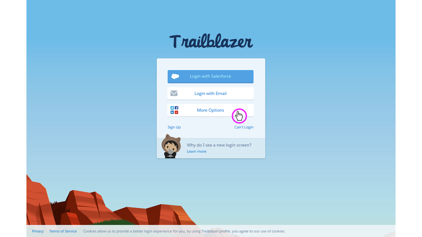 TrailblazerID slide 40