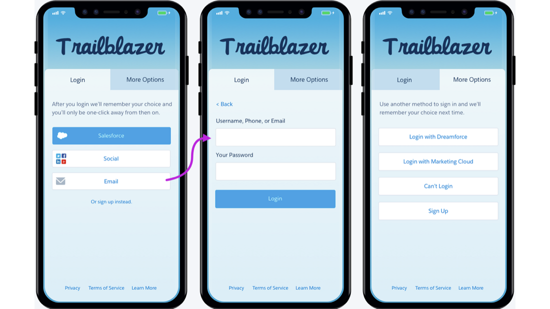 TrailblazerID slide 43